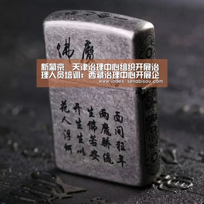 新葡京_
天津治理中心组织开展治理人员培训;西藏治理中心开展企业文化培训