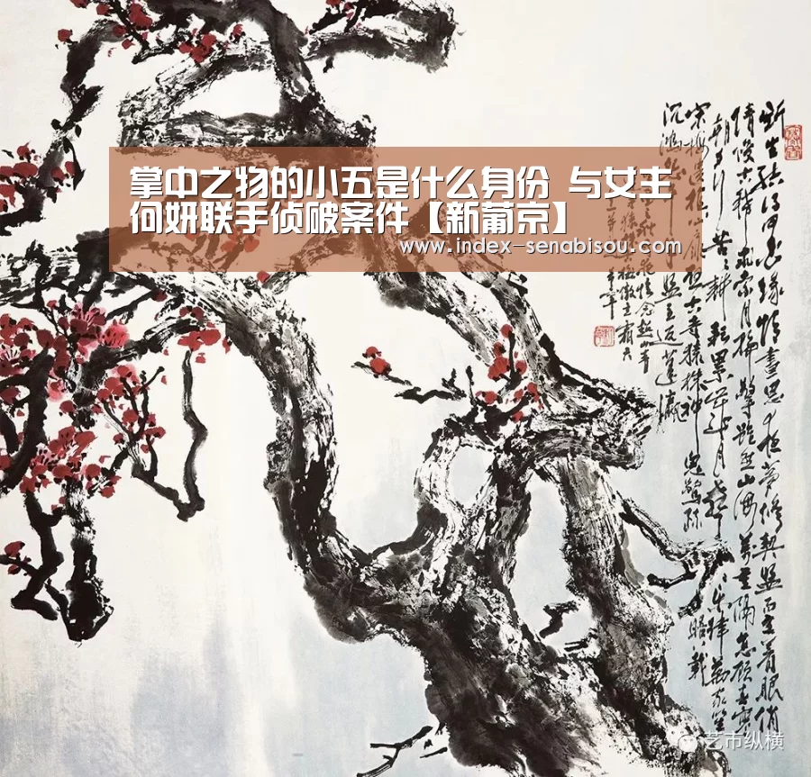 掌中之物的小五是什么身份 与女主何妍联手侦破案件【新葡京】