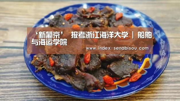‘新葡京’
报考浙江海洋大学 | 船舶与海运学院