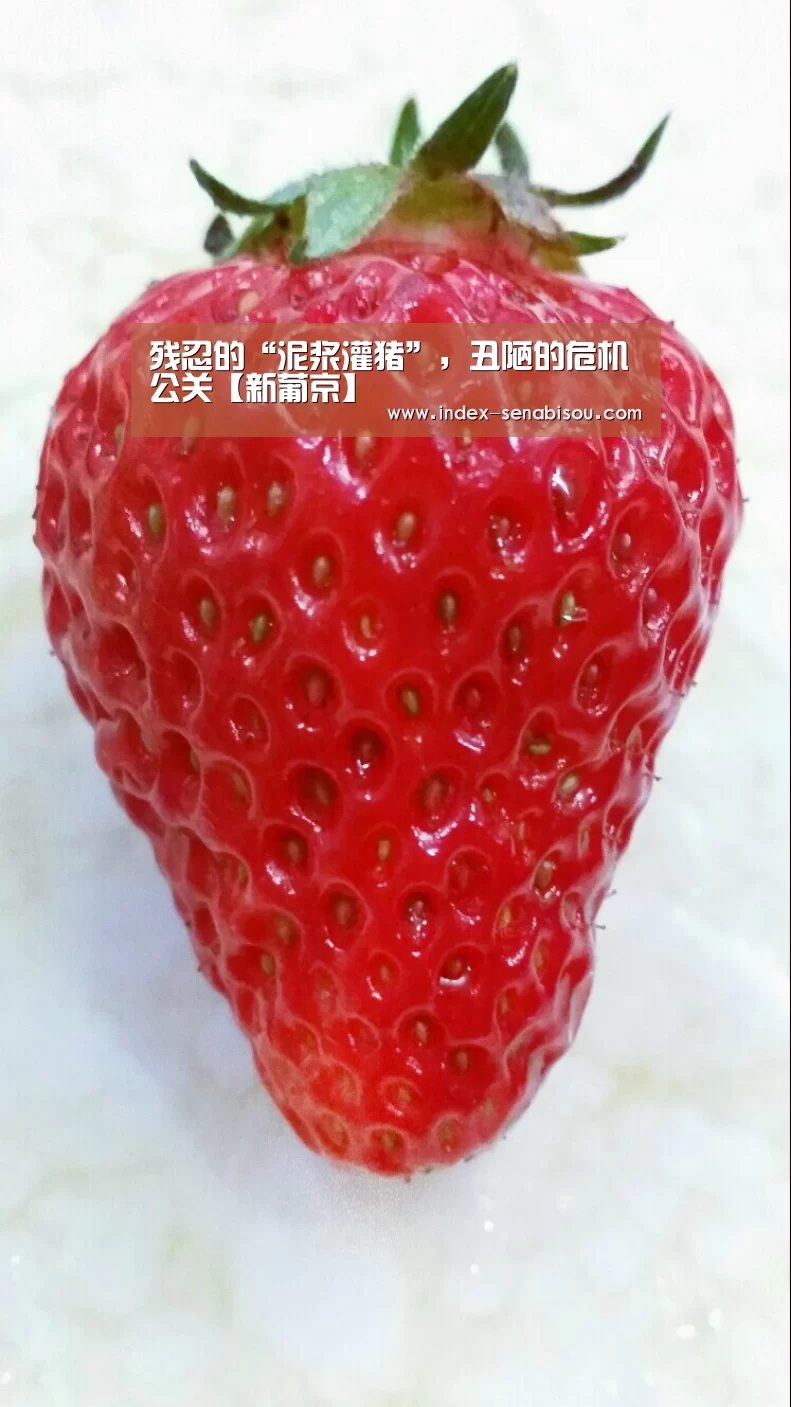 新葡京