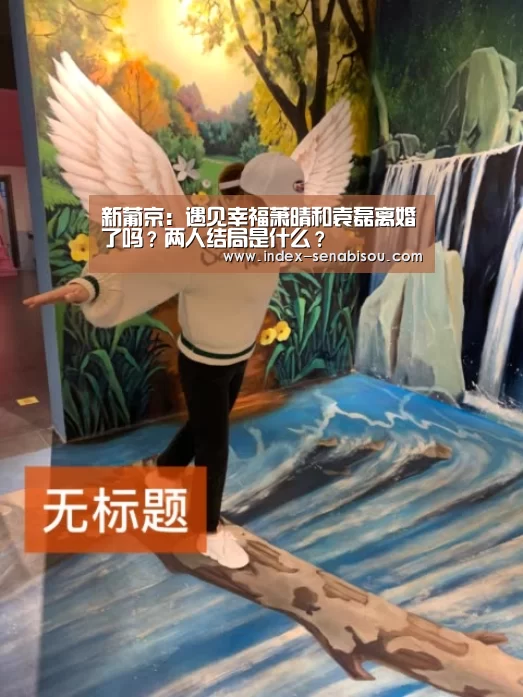 新葡京:遇见幸福萧晴和袁磊离婚了吗?两人结局是什么?