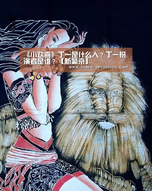 《小欢喜》丁一是什么人?丁一扮演者是谁?【新葡京】